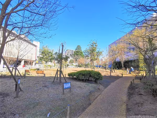 埼玉県庁 コバトンカフェ周辺の写真2