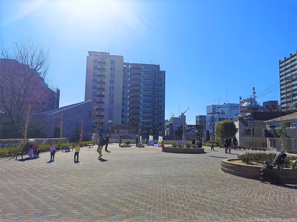 埼玉会館広場の写真2