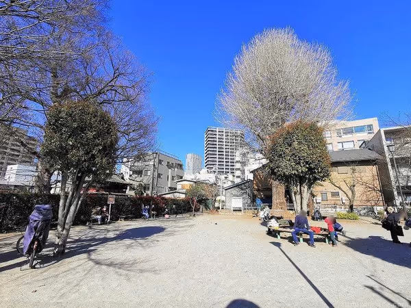 中央公園の写真2