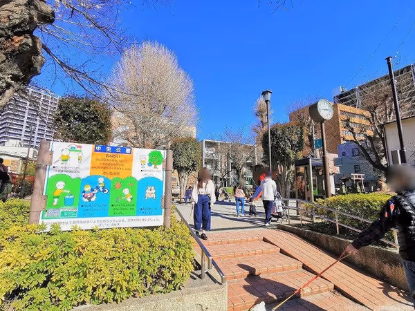 中央公園の写真1