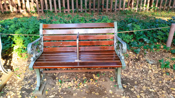 Photo of Gaienmae Station | Rest Spot Along the Ginkgo Tree-Lined Path at the Meiji Shrine Outer Gardens 5