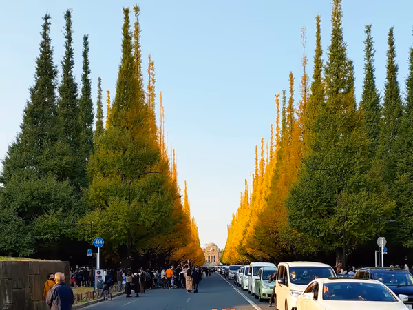 Photo of Gaienmae Station | Rest Spot Along the Ginkgo Tree-Lined Path at the Meiji Shrine Outer Gardens 1