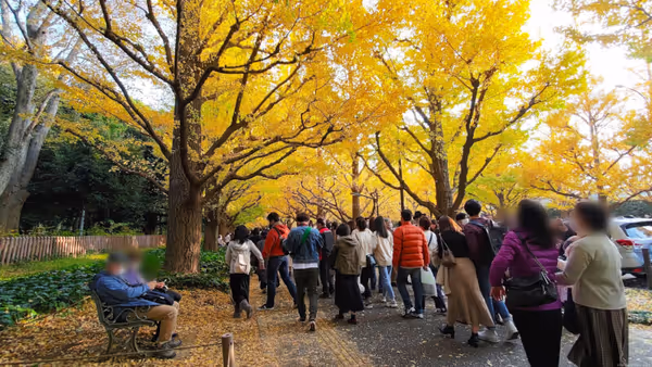 Photo of Gaienmae Station | Rest Spot Along the Ginkgo Tree-Lined Path at the Meiji Shrine Outer Gardens 2