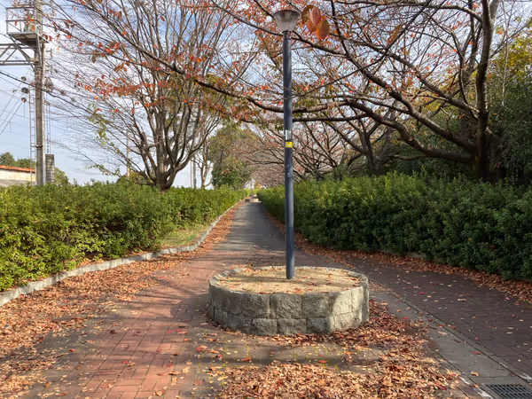 国鉄高砂線跡の遊歩道の写真3