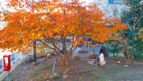 Photo of Kichijoji Station | Rest Spot at Kichijoji West Park 3