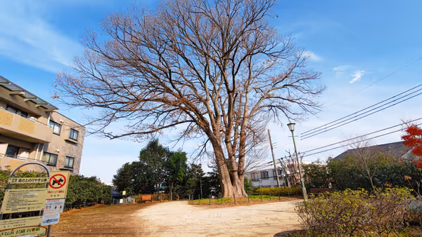 Photo of Nishi-Ogikubo Station | Rest Spot at Keyaki Park on the Hill 1