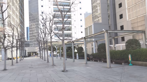 中野の森広場の写真2