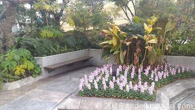 Photo of Namba Station | Namba Parks 8F Rest Spot in front of Chelsea 1