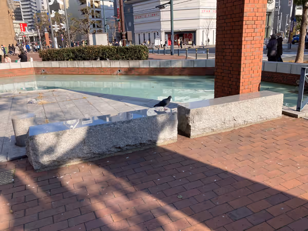 南側の広場の写真1