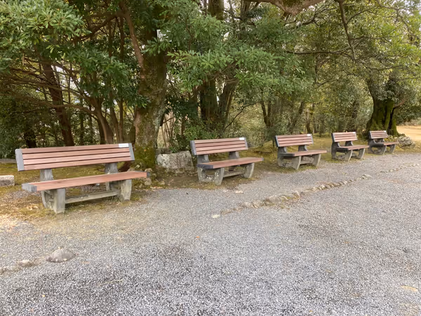 上野公園 伊賀上野城周辺の写真4