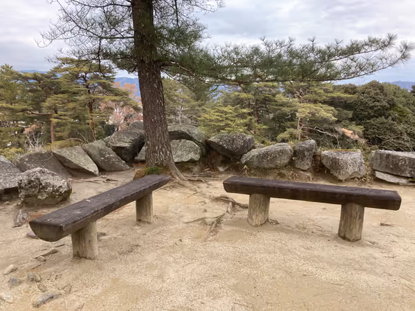上野公園 伊賀上野城周辺の写真2