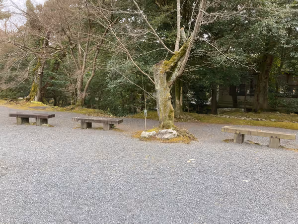 上野公園 伊賀上野城周辺の写真5