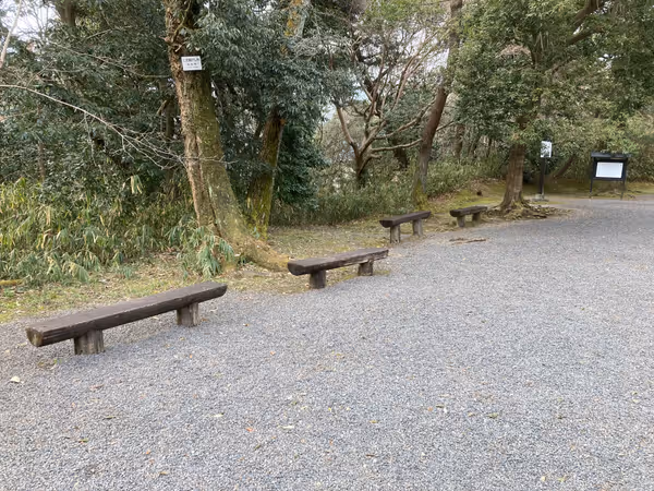 上野公園 俳聖殿周辺の写真2