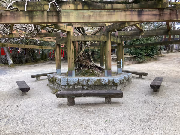 上野公園 俳聖殿周辺の写真1