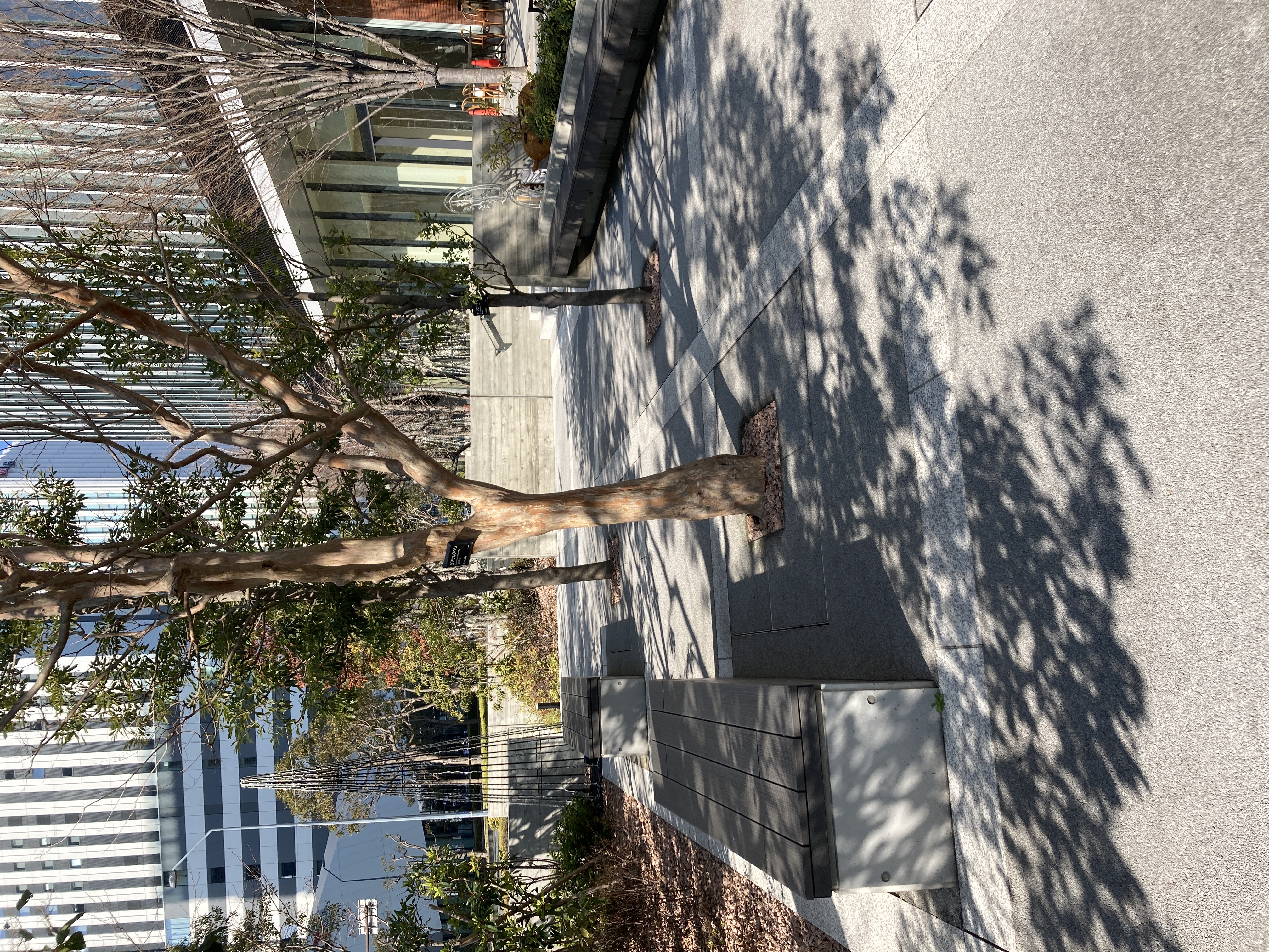 Photo of takashimachou | Rest Spot at Yokohama Nomura Building 1