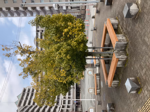 北口 ロータリー近くの広場の写真1