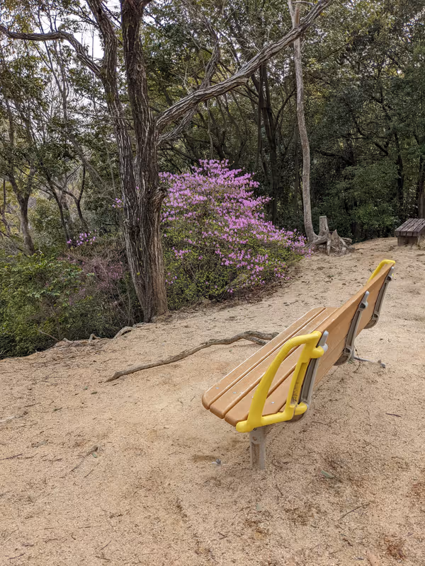 Photo of Koyoen Station | Koyama Forest Park | Rest Spot 1