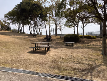 Photo of Sogo Undo Koen Station | Kobe Sogo Undo Koen Cosmos Hill | Rest Spot 3