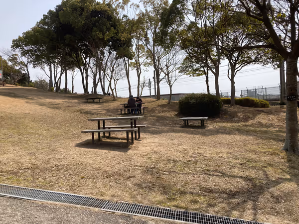 神戸総合運動公園 コスモスの丘の写真3