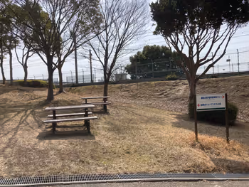 Photo of Sogo Undo Koen Station | Kobe Sogo Undo Koen Cosmos Hill | Rest Spot 2