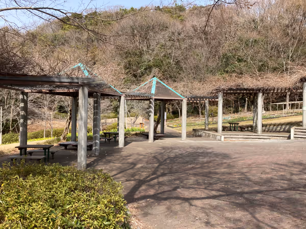 神戸総合運動公園 コスモスの丘の写真1