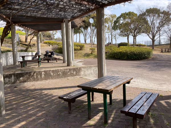 神戸総合運動公園 コスモスの丘の写真4