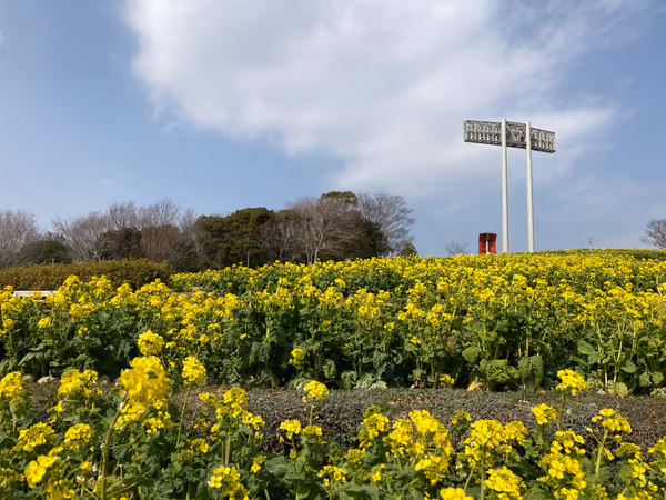 Photo of Sogo Undo Koen Station | Kobe Sogo Undo Koen Observatory on Cosmos Hill | Rest Spot 1