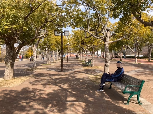 Photo of Sogo Undo Koen Station | The tree-lined path connecting Sogo Undo Koen Station | and the University Memorial Stadium | Rest Spot 1