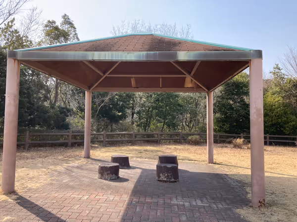 第4駐車場近くの広場の写真1