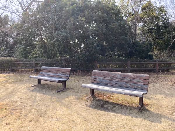 第4駐車場近くの広場の写真2