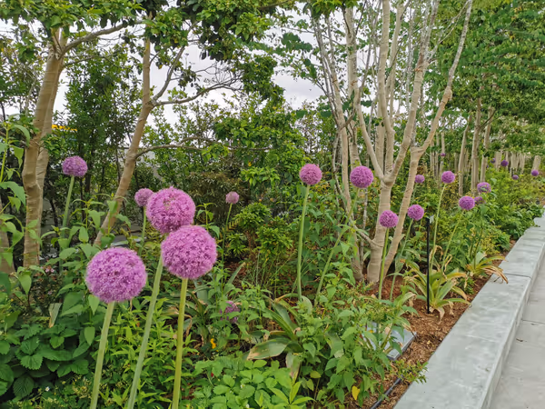Photo of Tachikawa Station | Stage Garden Dandan Terrace | Rest Spot 5