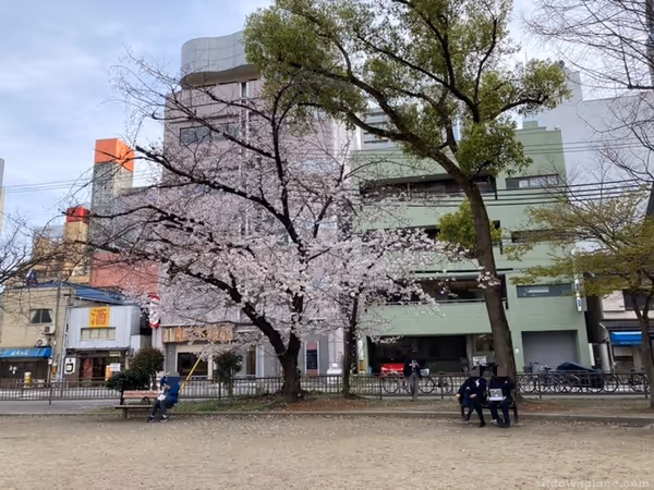 Photo of Nakatsu Station | Toyosaki West Park | Rest Spot 3
