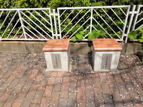 目黒川遊歩道 森永橋付近の写真3