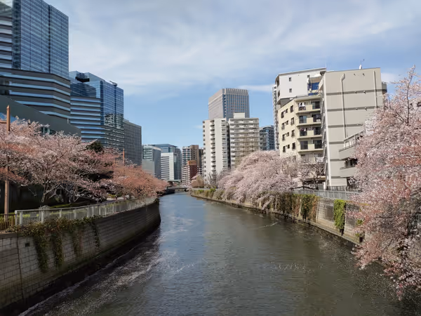 目黒川遊歩道 森永橋付近の写真1