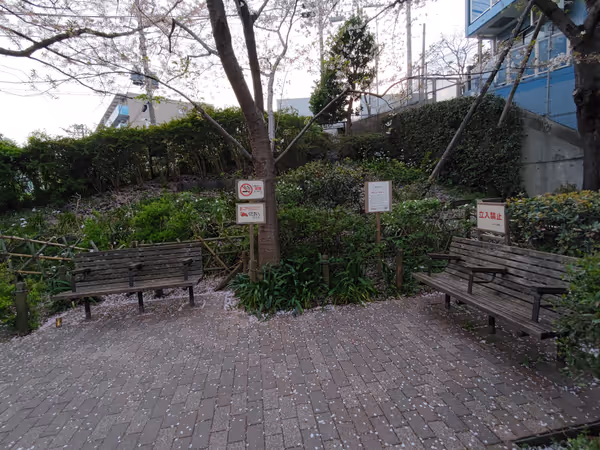 ひふみ公園の写真5