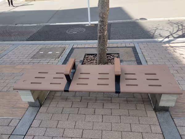 日大法学部図書館付近の写真3