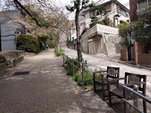 御殿山の坂の写真1