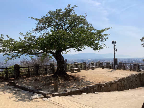 松山城 本丸広場の写真2