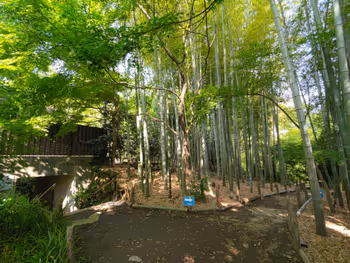 仙川站實篤公園的休息場所其七
