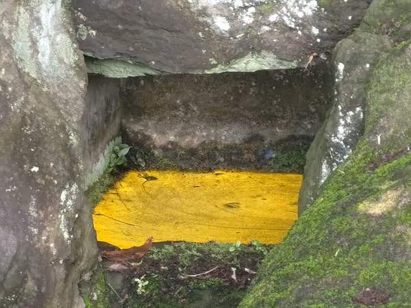 Photo de 実篤公園 6