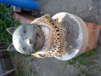 杜鵑丘站金子兒童遊樂園的休息場所其三