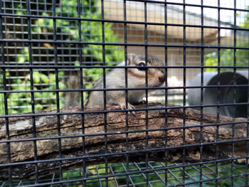 つつじヶ丘站金龙寺的休息场所6