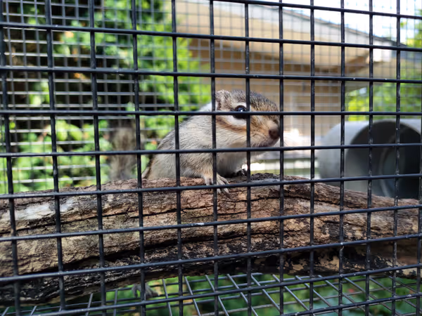 Photo of Tsutsujigaoka Station | Kinryuji Temple | Rest Spot 6
