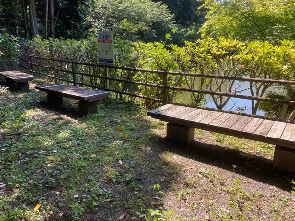 公園池周辺の写真2