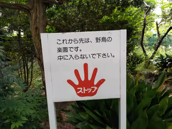 十条駅野鳥の森緑地の休憩場所その5