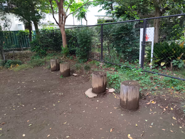 野鳥の森緑地の写真6