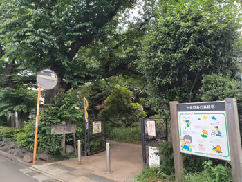 十条駅野鳥の森緑地の休憩場所その1