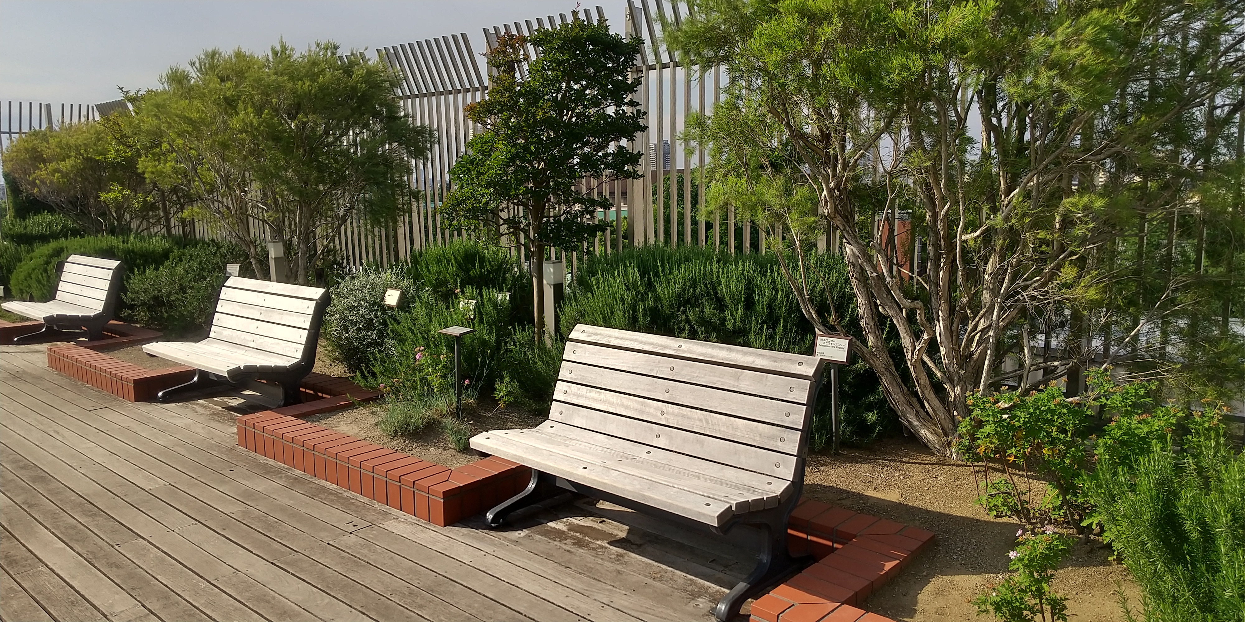 Photo of Ueno Station | National Museum of Nature and Science Rooftop | Rest Spot 1