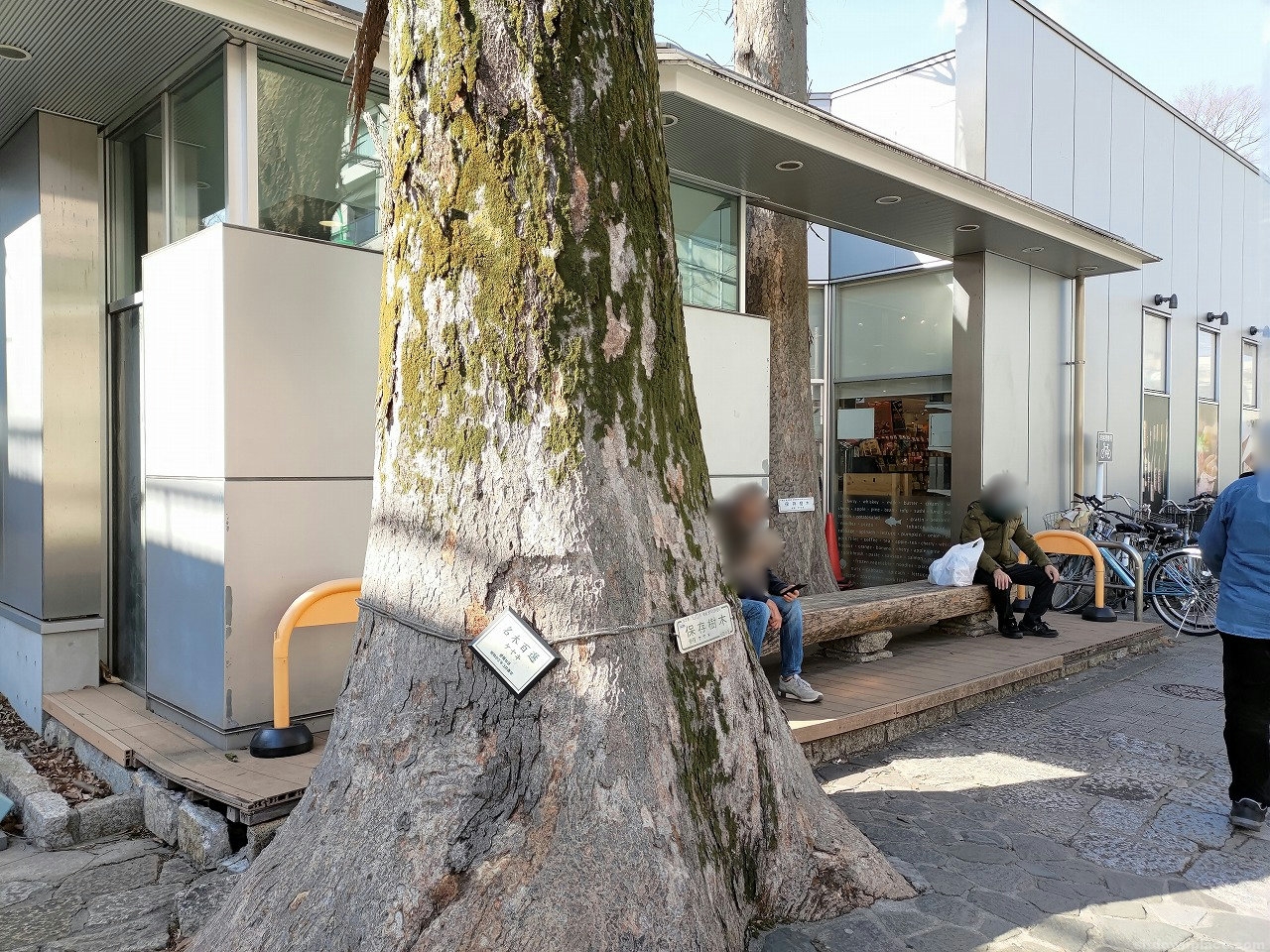 Photo of Todoroki Station | Seijo Ishii, Near the Zelkova Tree | Rest Spot 1