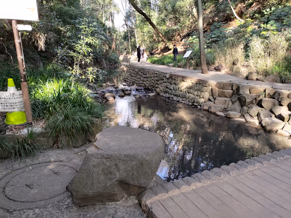等々力渓谷 ゴルフ橋ー玉沢橋間の写真2